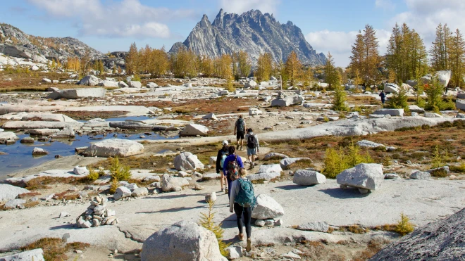 Group of hikers trekking through a rocky alpine landscape with sparse trees and jagged mountains in the distance