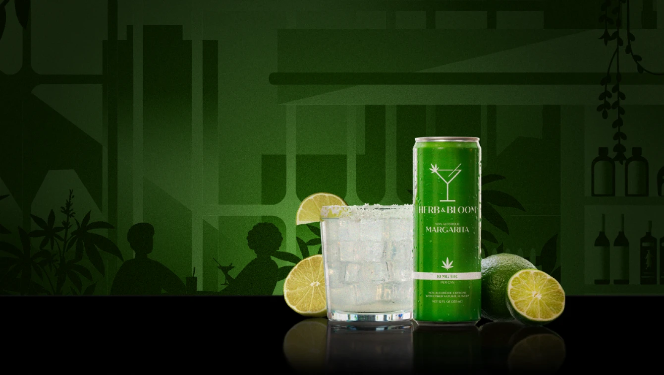 Green Herb & Bloom THC Margarita can with a chilled cocktail glass and limes, on a black surface with bar silhouettes