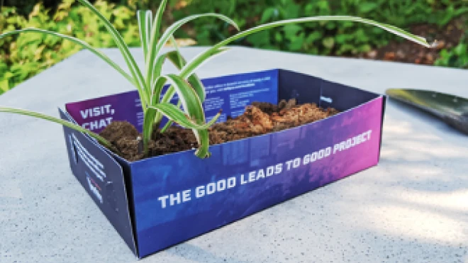 A small plant growing in a makeshift planter made from a folded Verity Credit Union promotional mailer. The mailer has the text "The Good Leads to Good Project" visible on the side.